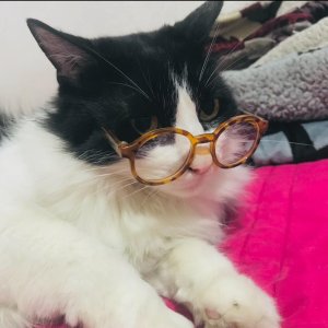 l35jjhy8p5le1.jpeg l35jjhy8p5le1.jpeg