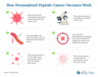 How Personalized Peptide Cancer Vaccines Work.png How Personalized Peptide Cancer Vaccines Work.png