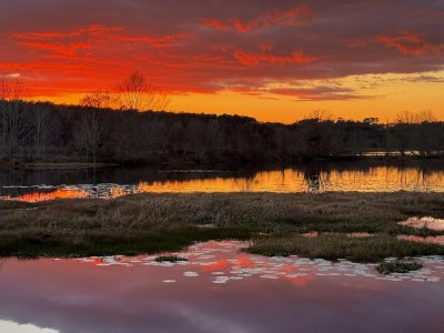 hlor5kh9m6le1.jpeg hlor5kh9m6le1.jpeg