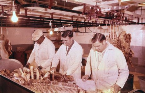 480593684_10237893005211444_5748134219619970946_n.jpg 480593684_10237893005211444_5748134219619970946_n.jpg