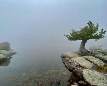 compressed-0mp5yxh1ykle1.jpeg compressed-0mp5yxh1ykle1.jpeg