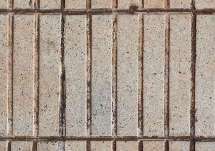 download (4).jpeg download (4).jpeg