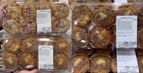 compressed-image (1) (1).jpeg compressed-image (1) (1).jpeg