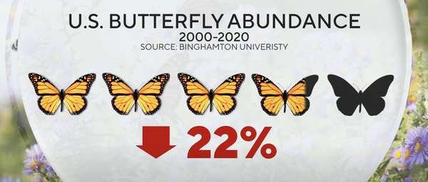 compressed-Screenshot 2025-03-07 at 2.04.05 AM.jpeg compressed-Screenshot 2025-03-07 at 2.04.05 AM.jpeg