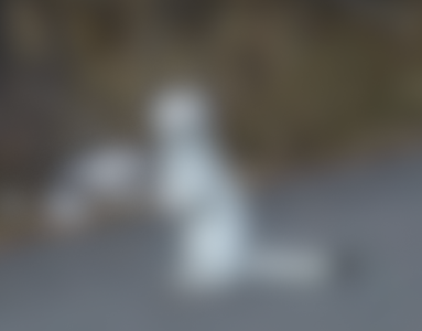 Screenshot 2025-03-09 at 9.16.56 PM.png Screenshot 2025-03-09 at 9.16.56 PM.png