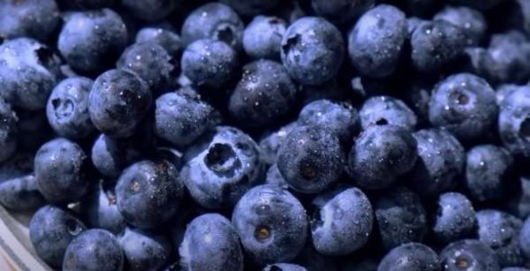 compressed-Screenshot 2025-03-10 at 2.02.22 AM.jpeg compressed-Screenshot 2025-03-10 at 2.02.22 AM.jpeg