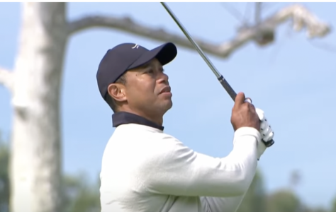 Screenshot 2025-03-11 at 8.25.56 PM.png Screenshot 2025-03-11 at 8.25.56 PM.png