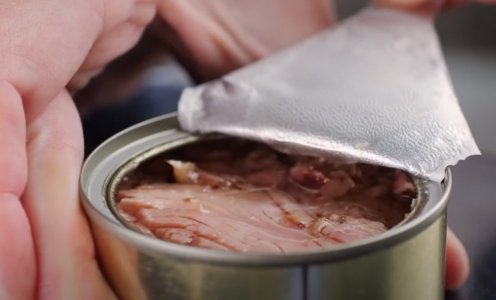 download (17).jpeg download (17).jpeg