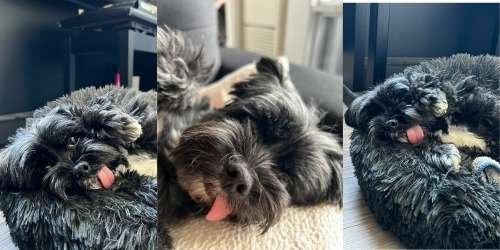 compressed-TGV (43) (1).jpeg compressed-TGV (43) (1).jpeg