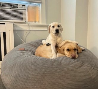 SISTERS.JPG SISTERS.JPG