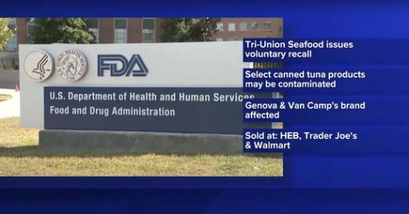 compressed-Screenshot 2025-03-13 at 12.33.10 AM.jpeg compressed-Screenshot 2025-03-13 at 12.33.10 AM.jpeg