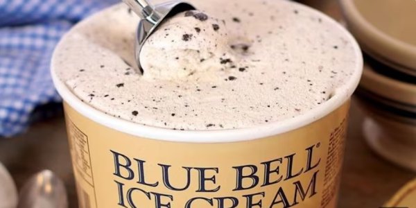 download (23).jpeg download (23).jpeg