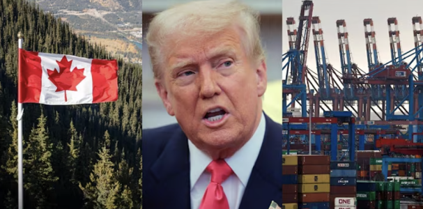 Screenshot 2025-03-16 at 8.35.14 PM.png Screenshot 2025-03-16 at 8.35.14 PM.png