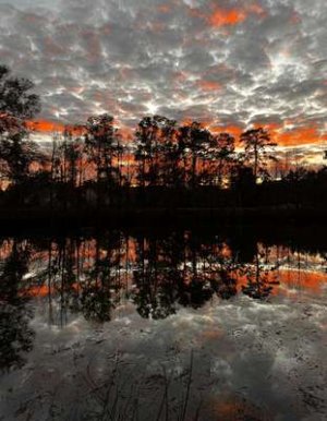 compressed-eakwq123vpne1.jpeg compressed-eakwq123vpne1.jpeg