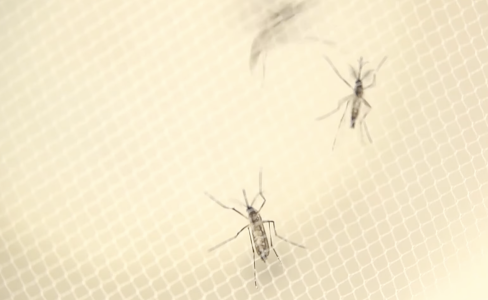 Screenshot 2025-03-18 at 12.18.59.png Screenshot 2025-03-18 at 12.18.59.png