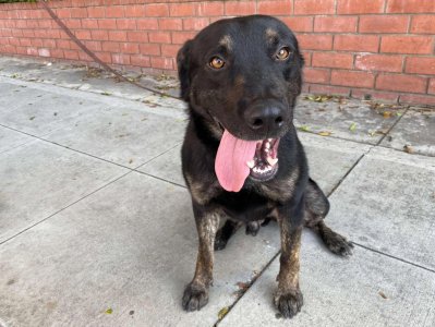 gdbruddieqpe1.jpeg gdbruddieqpe1.jpeg