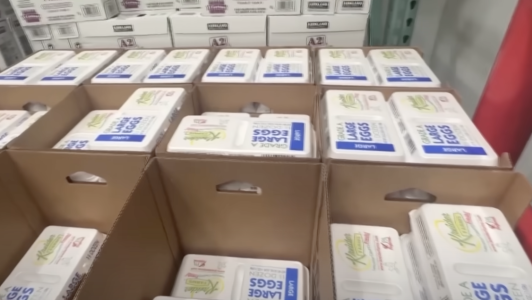 Screenshot 2025-03-20 at 11.46.13.png Screenshot 2025-03-20 at 11.46.13.png