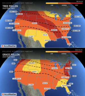 Screenshot 2025-03-21 at 1.13.48 AM.png Screenshot 2025-03-21 at 1.13.48 AM.png