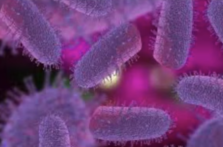 Screenshot 2025-03-28 at 12.15.38 AM.png Screenshot 2025-03-28 at 12.15.38 AM.png