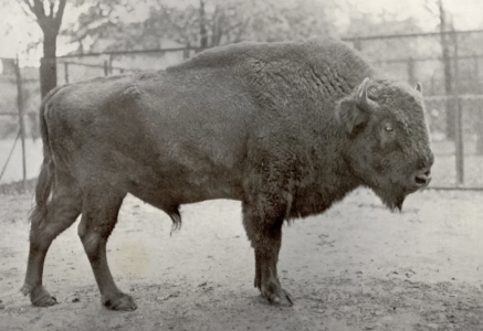 Screenshot 2025-03-31 at 1.11.36 AM.png Screenshot 2025-03-31 at 1.11.36 AM.png