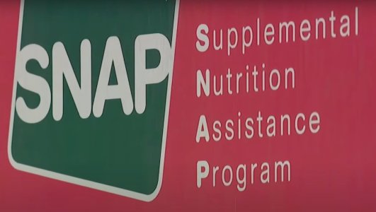 download (12).jpeg download (12).jpeg