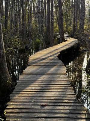 compressed-741kvhd0exqe1.jpeg compressed-741kvhd0exqe1.jpeg