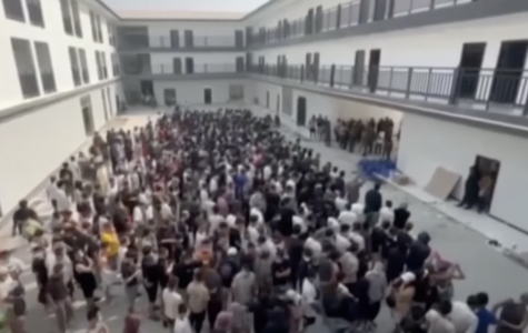 Screenshot 2025-04-03 at 13.20.17.png Screenshot 2025-04-03 at 13.20.17.png