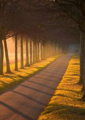 compressed-road.jpeg compressed-road.jpeg