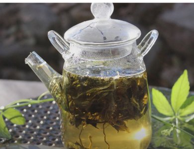 download (24).jpeg download (24).jpeg