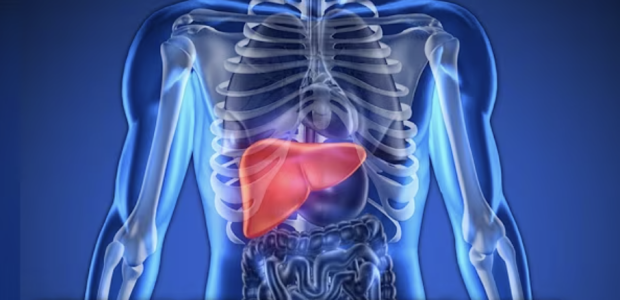 Screenshot 2025-04-07 at 10.21.35 PM.png Screenshot 2025-04-07 at 10.21.35 PM.png