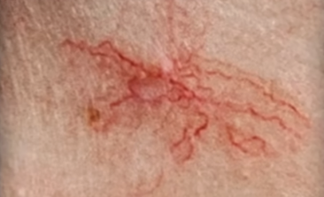 Screenshot 2025-04-07 at 10.28.24 PM.png Screenshot 2025-04-07 at 10.28.24 PM.png