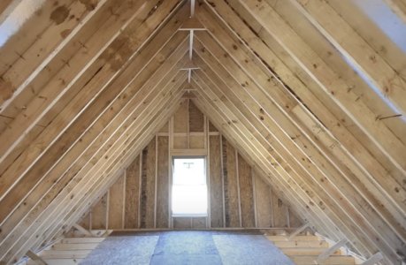 download (15).jpeg download (15).jpeg