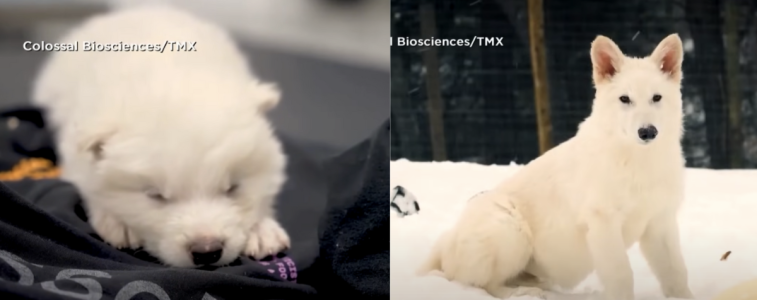 Screenshot 2025-04-08 at 10.23.46 PM.png