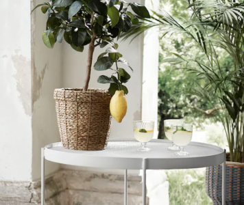 Screenshot 2025-04-11 at 10.10.31 AM.png