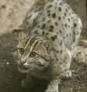 Screenshot 2025-04-10 at 10.30.32 PM.png Screenshot 2025-04-10 at 10.30.32 PM.png