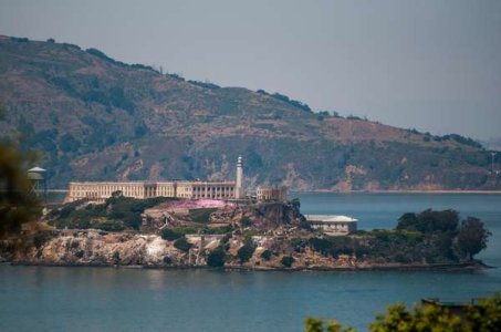 61081-compressed-pexels-dumitru-b-742240889-29117216.jpeg 61081-compressed-pexels-dumitru-b-742240889-29117216.jpeg