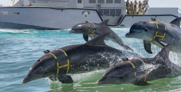 Screenshot 2025-04-14 at 2.51.34 AM.png