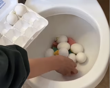 Screenshot 2025-04-16 at 2.08.45 AM.png Screenshot 2025-04-16 at 2.08.45 AM.png