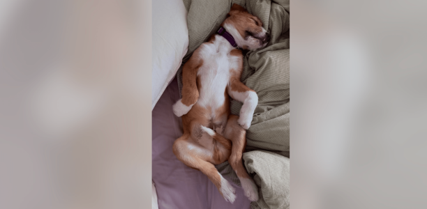 Screenshot 2025-04-17 at 11.56.37 AM-min.png Screenshot 2025-04-17 at 11.56.37 AM-min.png