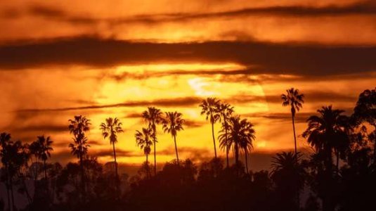 compressed-Los Angeles Sunset.jpeg compressed-Los Angeles Sunset.jpeg