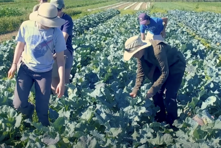 Screenshot 2025-04-17 at 13.31.21.png Screenshot 2025-04-17 at 13.31.21.png