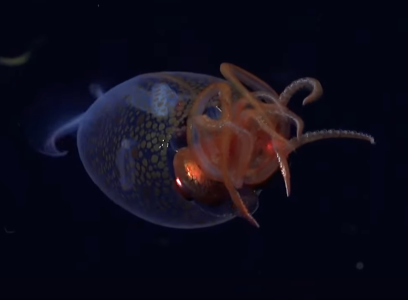 Screenshot 2025-04-17 at 14.11.32.png Screenshot 2025-04-17 at 14.11.32.png