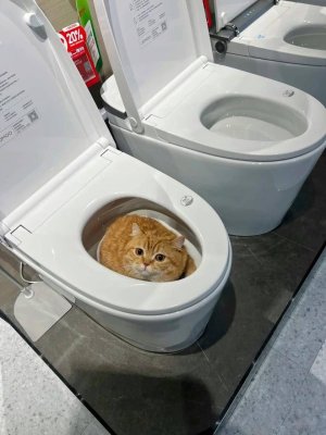 492039175_1088401769998993_5859676842516872568_n.jpg 492039175_1088401769998993_5859676842516872568_n.jpg