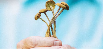 Capture.PNG Capture.PNG