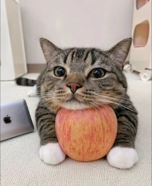 492459043_1089758953196608_486628700963419022_n.jpg 492459043_1089758953196608_486628700963419022_n.jpg