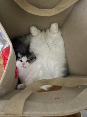 qui8w91f4rwe1.jpeg qui8w91f4rwe1.jpeg