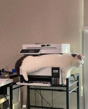 492044869_1088021013370402_3516871940994172451_n.jpg 492044869_1088021013370402_3516871940994172451_n.jpg