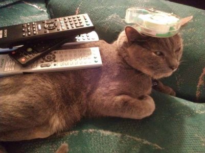 compressed-ZPG3ZFl.jpeg compressed-ZPG3ZFl.jpeg