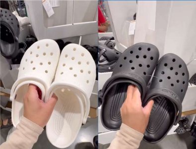 compressed-image (2).jpeg compressed-image (2).jpeg