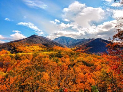 61669-oz6cc7oa77xz-min.jpg 61669-oz6cc7oa77xz-min.jpg